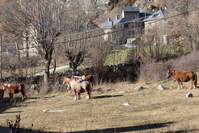 Albergue Boi Romanic Suites Barruera Dış mekan fotoğraf